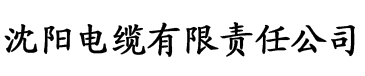 baoyu.tv永不失电缆厂logo